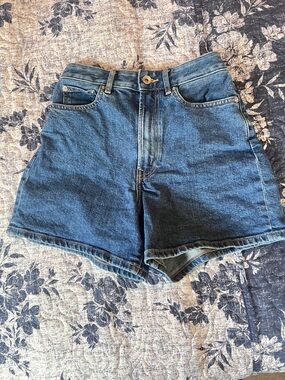 Everlane Denim Shorts
